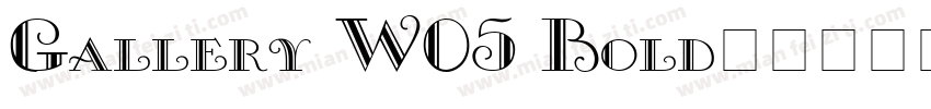 Gallery W05 Bold字体转换